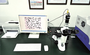 Tissue inspection by metallographic microscope